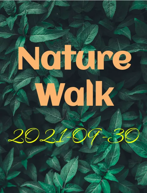 Template editor showing a simple letter design with color formatting and placeholder merge variables for recipient and sender names