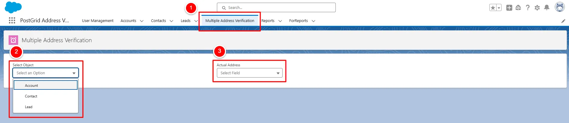 PostGrid Multiple Address Verification page in Salesforce with Object type selector (Accounts, Contacts, Leads) and Address Field dropdown