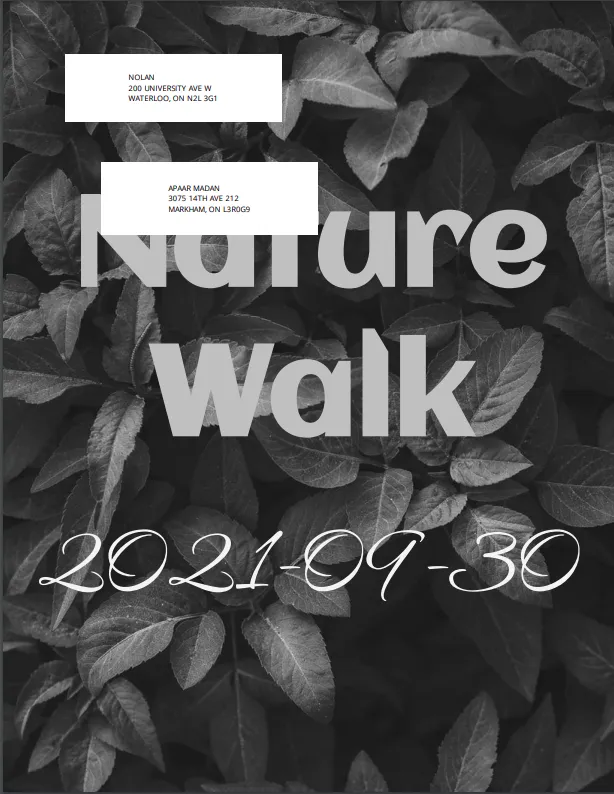 PDF preview of a letter where the address block covers part of the design and colors are missing due to incorrect addressPlacement and color settings