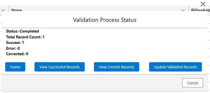 Validation Status page showing a progress summary with counts for Total Records, Success, Error, and Corrected
